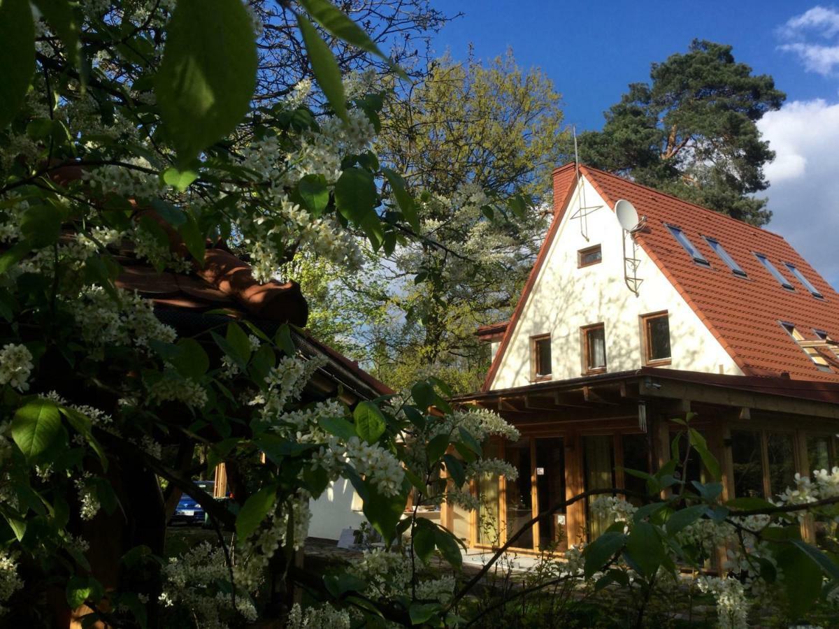 Willa Danusia Milanowek Kültér fotó